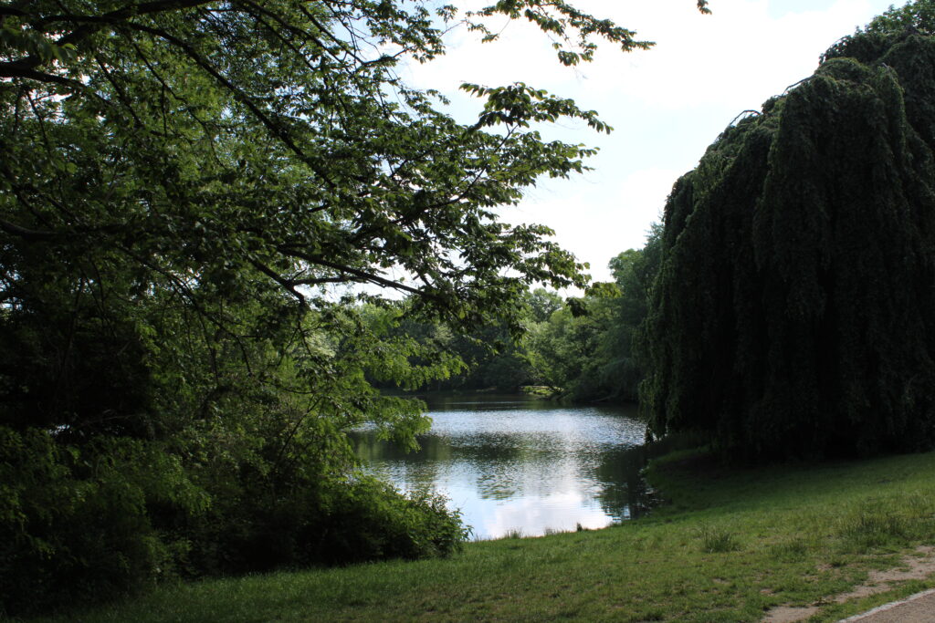 Karpfenteich Treptower Park