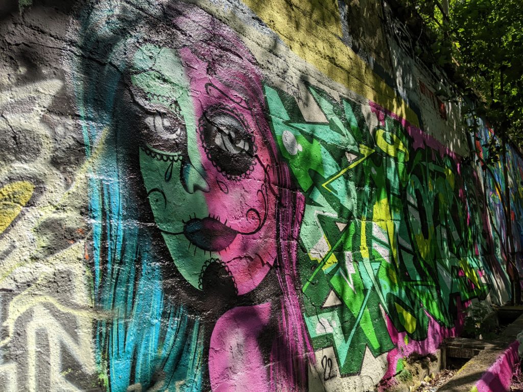 Graffiti Natur-Park Südgelände