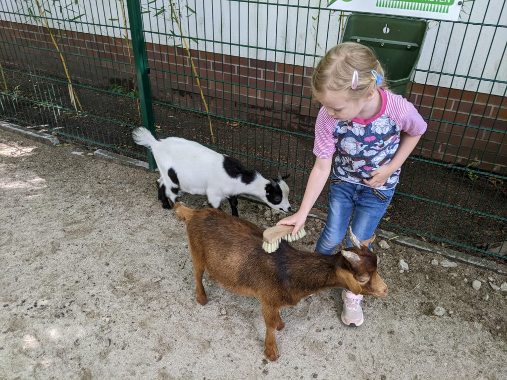 Tierpark Finsterwalde: Streichelgehege