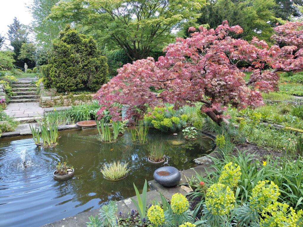 Karl Foerster Garten Potsdam