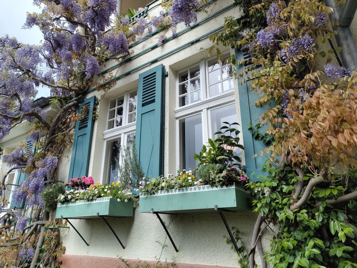 Hausfassade mit Blauregen im Karl-Foertser-Garten