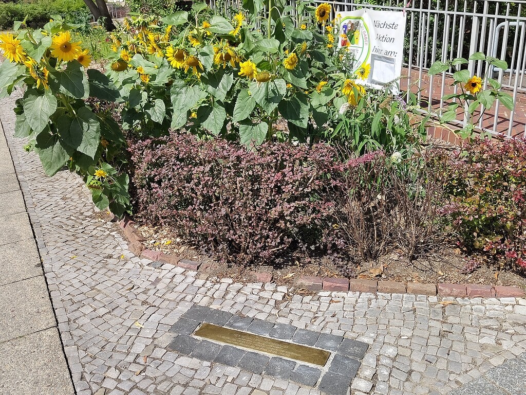 Stolperschwelle Berlin